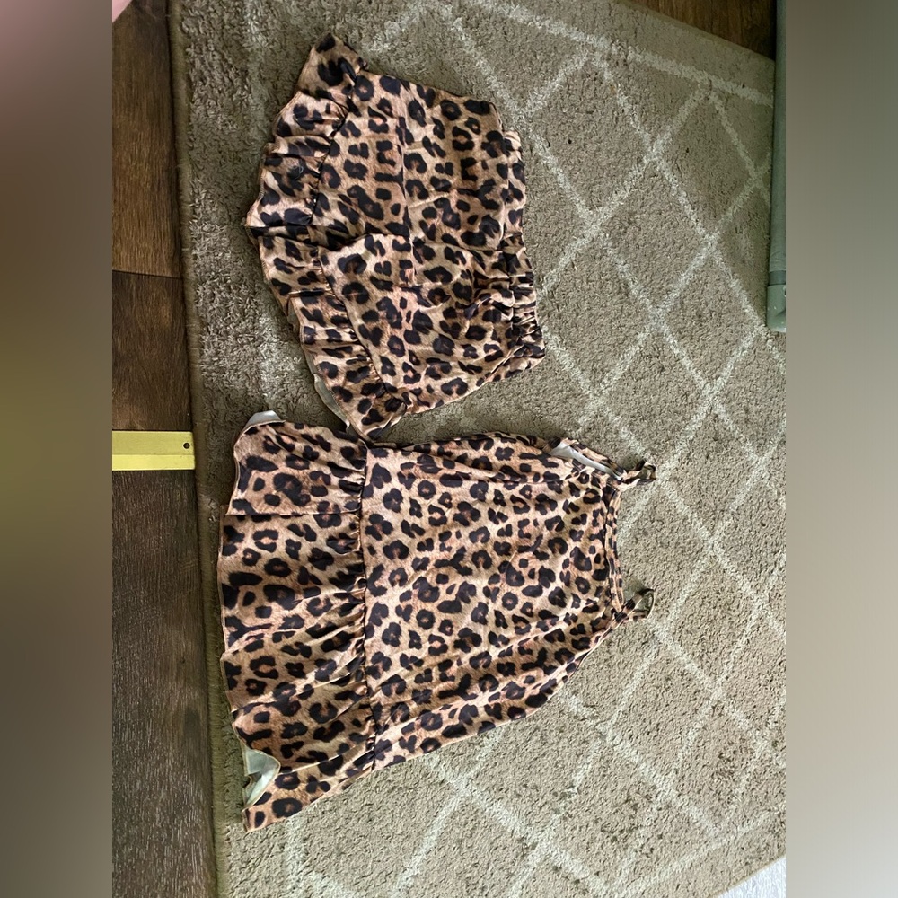 Cheetah Set